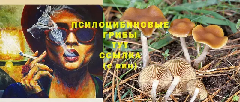 Псилоцибиновые грибы GOLDEN TEACHER  hydra ссылка  Шиханы 